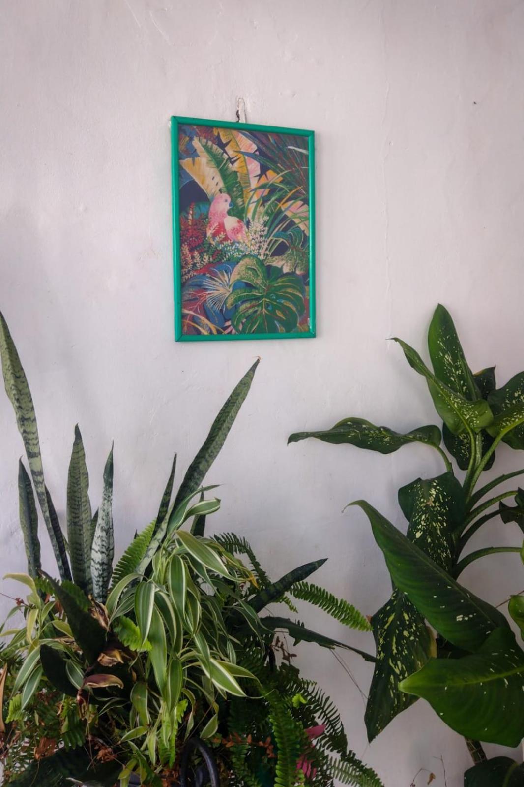 Hostel Residence Girassol เบเลม ภายนอก รูปภาพ